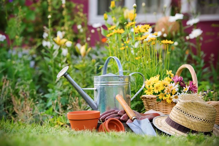 Importanza della concimazione nel giardinaggio