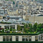 Giardino pensile sulla terrazza di un grande edificio