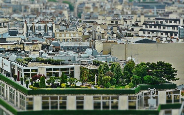 Giardino pensile sulla terrazza di un grande edificio