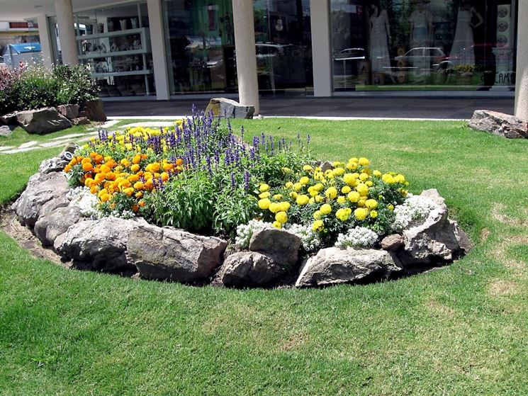 Un angolo di giardino roccioso