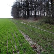 Il terreno argilloso trattiene l'acqua