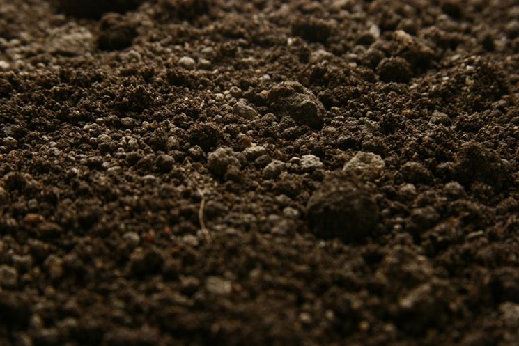 Terriccio a medio impasto