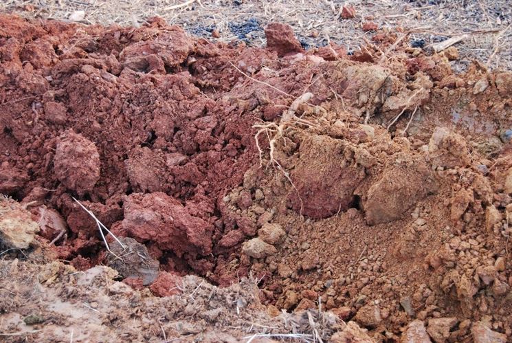 tipo di terreno calcareo