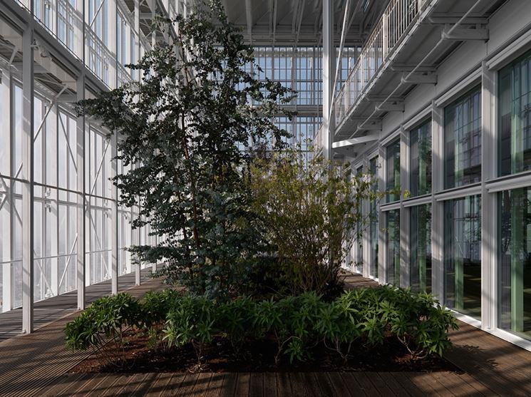 la serra come laboratorio ambientale