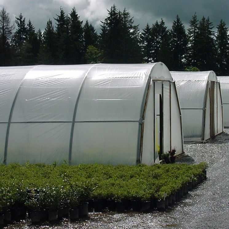 Serra coperta da teli di film plastici