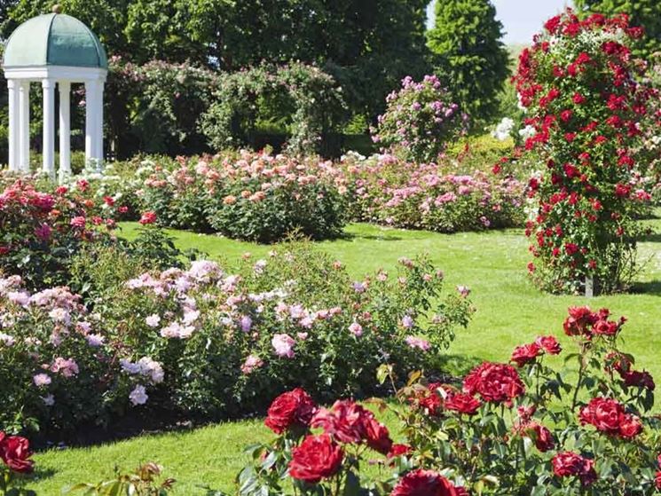 Aiuole giardino con rose