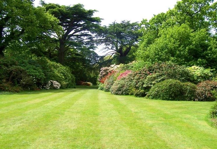 Manutenzione giardino