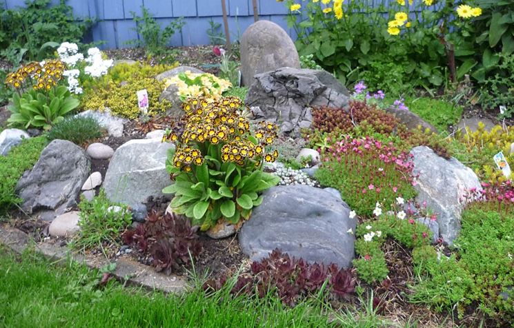 Esempio di giardino roccioso