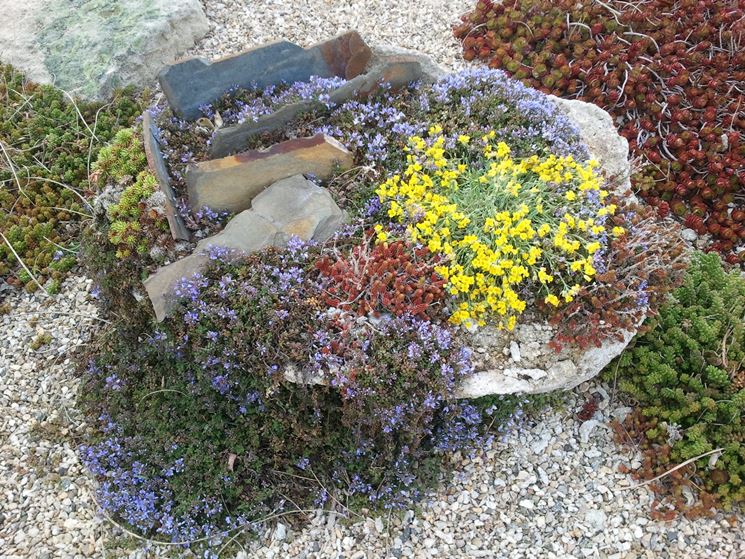 Angolo di giardino roccioso