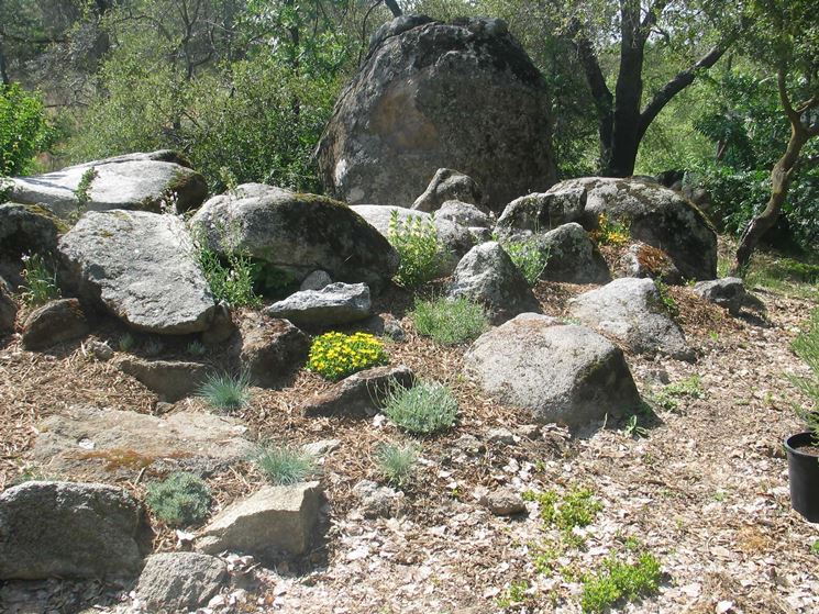 Giardino roccioso naturale