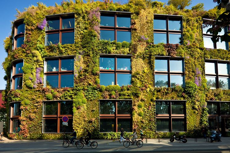 Parete verde su un edificio