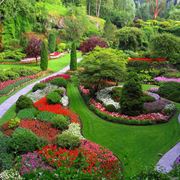 Splendido giardino fiorito