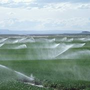 Impianto agricolo irrigazione a pioggia