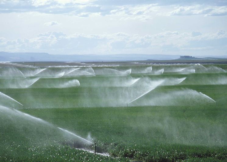 Impianto agricolo irrigazione a pioggia