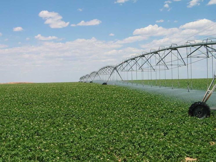 Irrigazione a pioggia in agricoltura