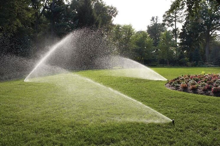 Giardino con irrigazione automatica