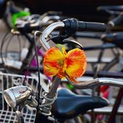 Bicicletta in centro citt