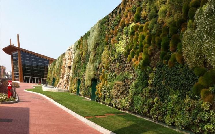 Esempio di muro verde