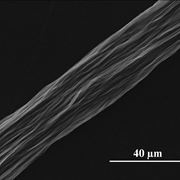 Ingrandimento di fibra di carbonio