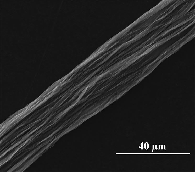 Ingrandimento di fibra di carbonio