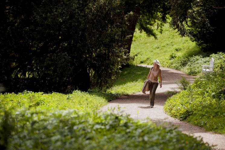 Camminamenti giardino