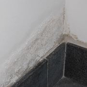 Danni da umidità su parete