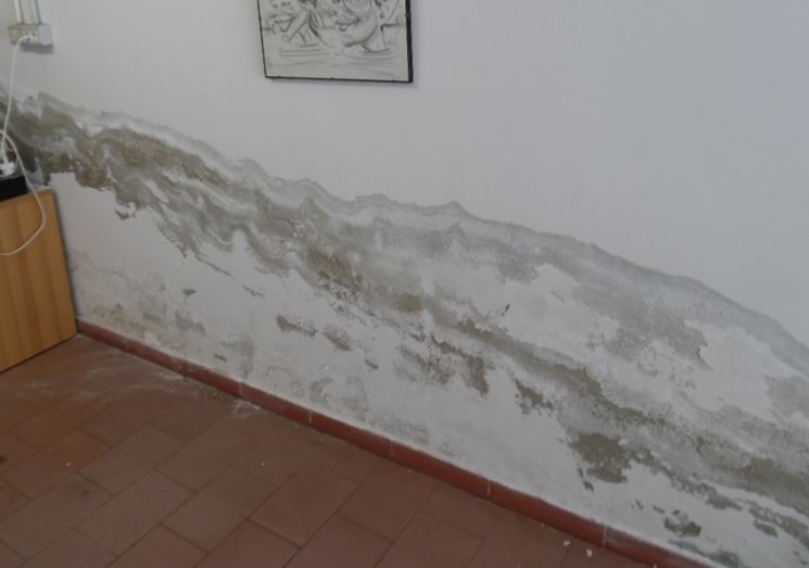 Umidità capillare su muro